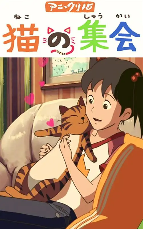 艾迪影视追剧网站