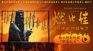 免播放器av少妇影院