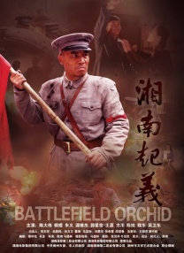 光闪闪的录像