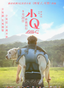 黄页网站播放器日本