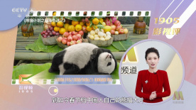 靠比
