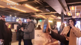 精品一级少妇久久久久久久